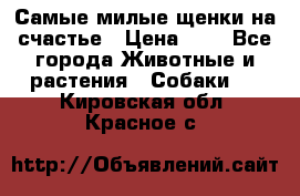 Самые милые щенки на счастье › Цена ­ 1 - Все города Животные и растения » Собаки   . Кировская обл.,Красное с.